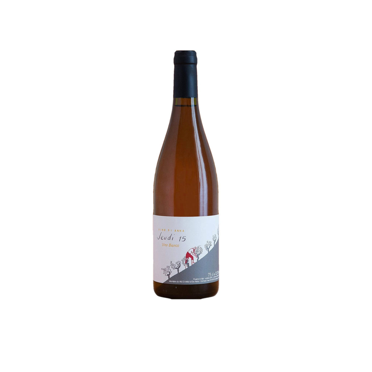 Jeudi 15 Bianco 2024